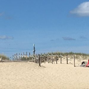 Meet your Posher, Pat